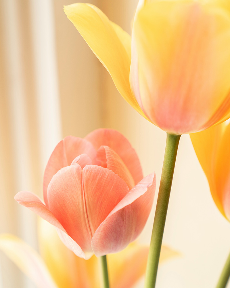 Event Photo: Easter Brunch