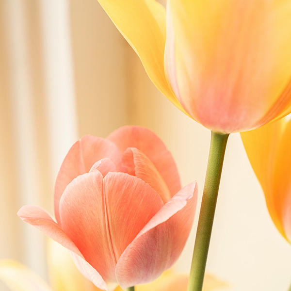 Photo: Easter Brunch