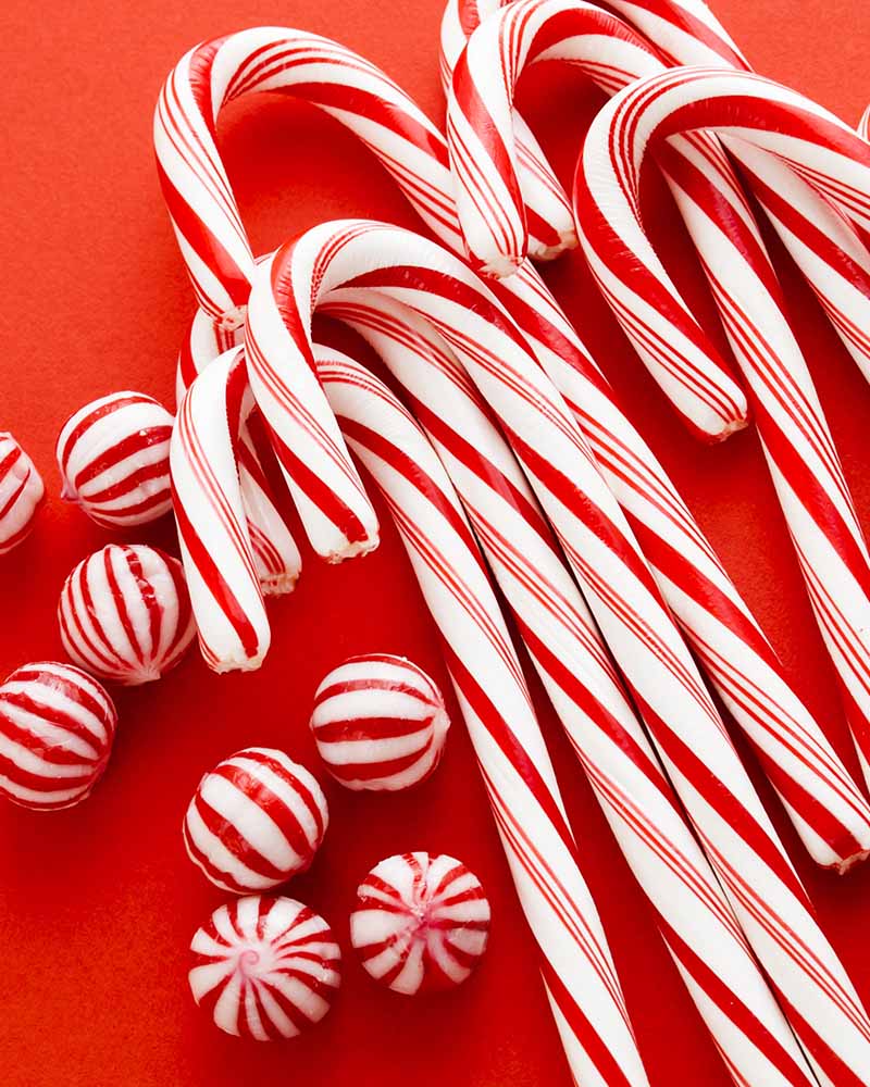 Event Photo: Santa’s Workshop