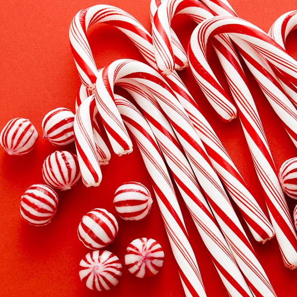 Photo: Santa’s Workshop