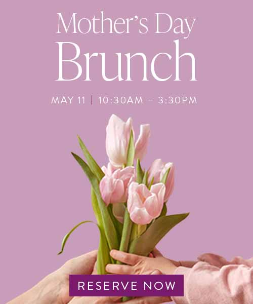 Mobile Photo: Reeds at Shelter Haven Home