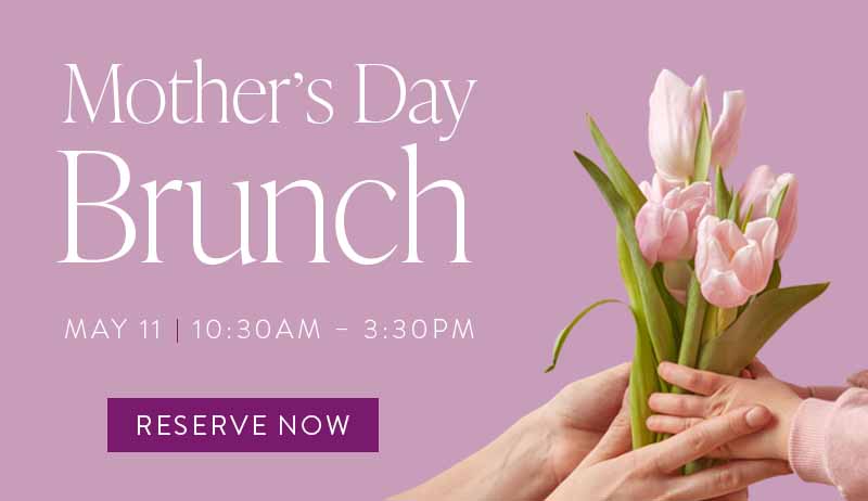 Desktop Photo: Reeds at Shelter Haven Home