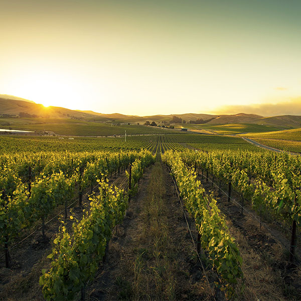 Photo: Grgich Hills Estate <br>Wine Dinner