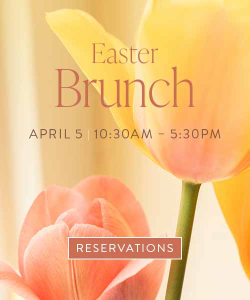 Mobile Photo: Reeds at Shelter Haven Home